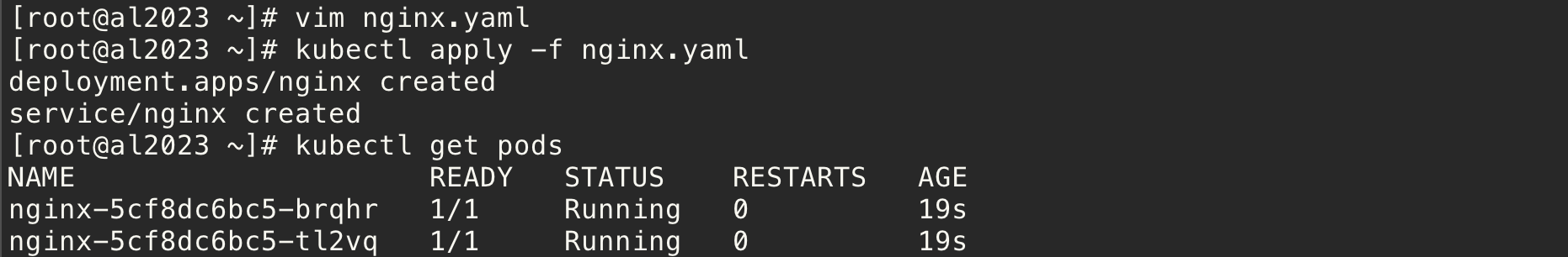 snginx.png