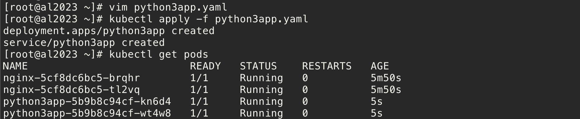 spython3app.png